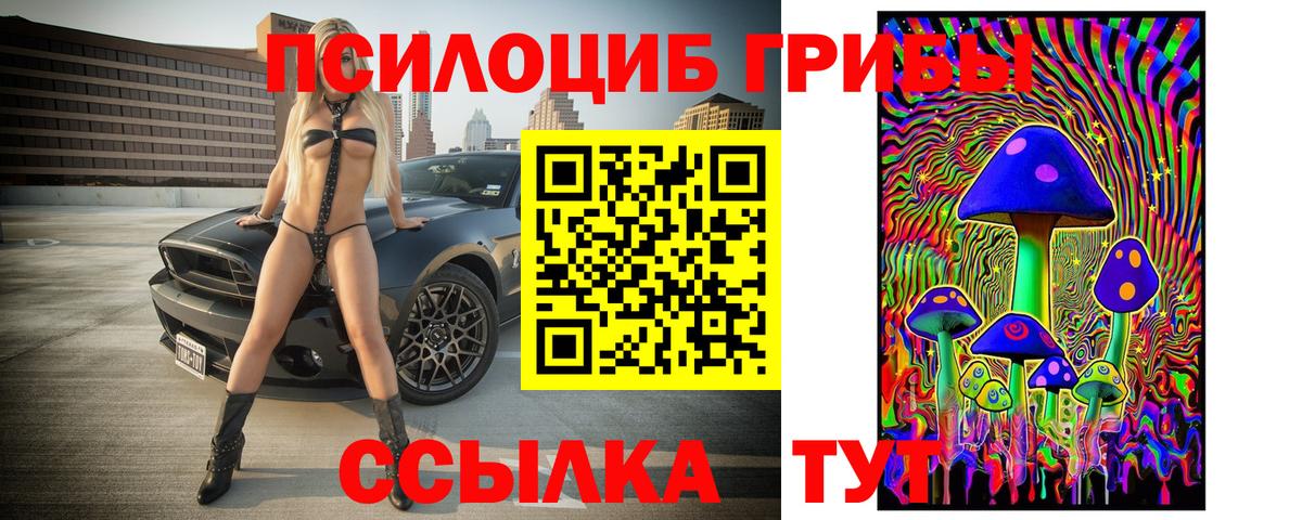 Псилоцибиновые грибы прущие грибы Качканар